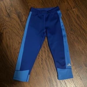Blue Climalite Techfit Leggings